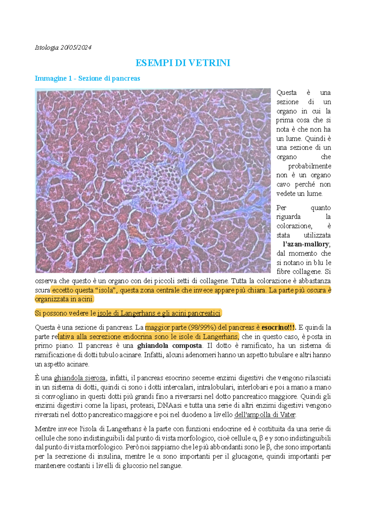 Istologia: ESEMPI DI VETRINI e Analisi Morfologica 20.05 2 - Studocu
