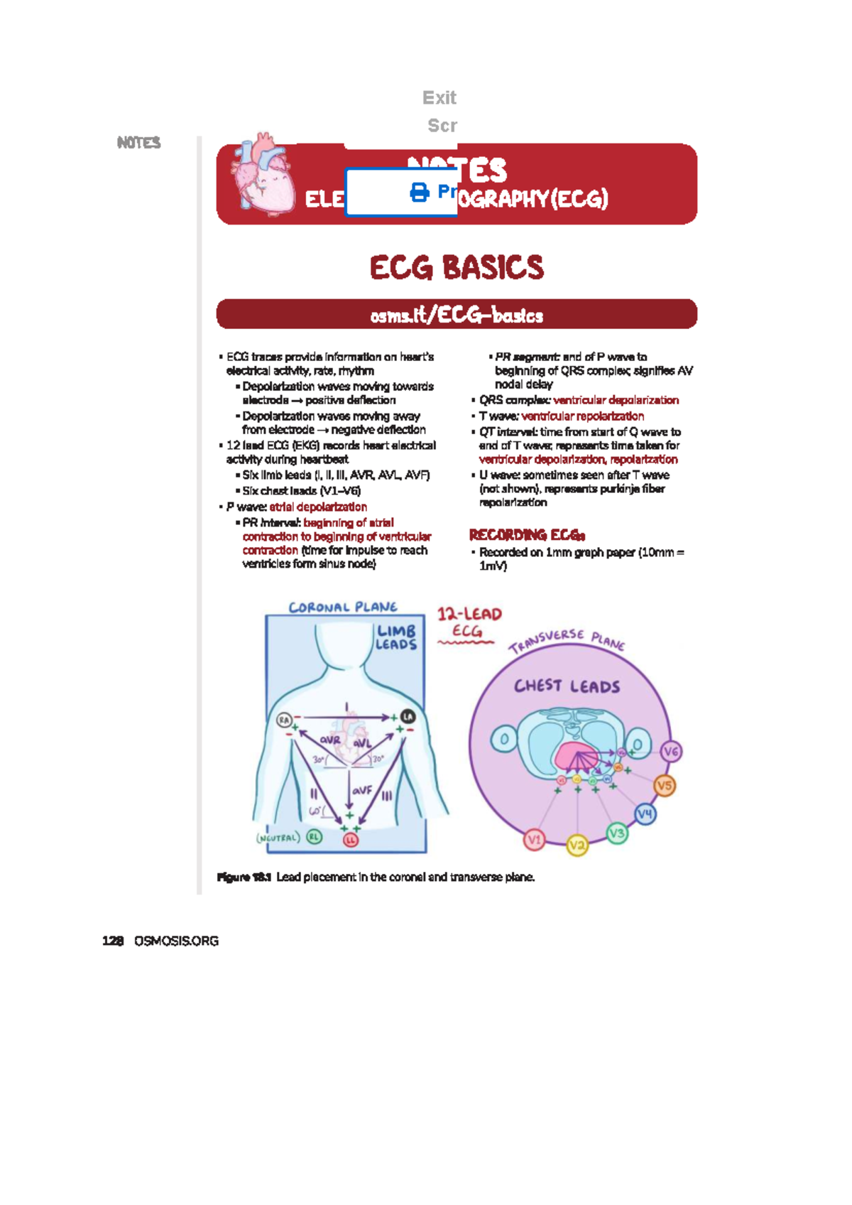 Electrocardiography Notes (ECG) - Basics, Diagrams & Key Concepts - Studocu
