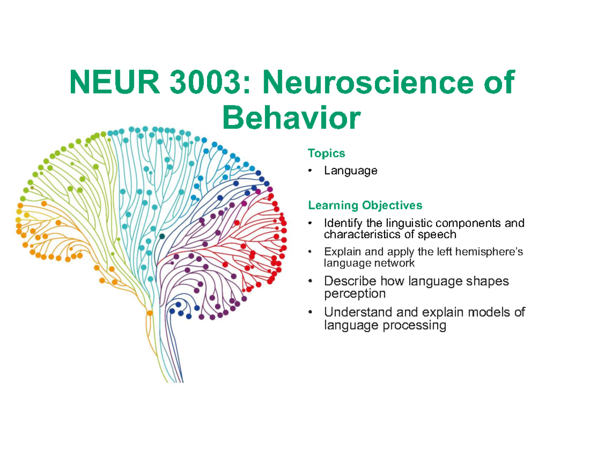 NEUR3003: Neuroscience of Language and Consciousness Overview - NEUR ...