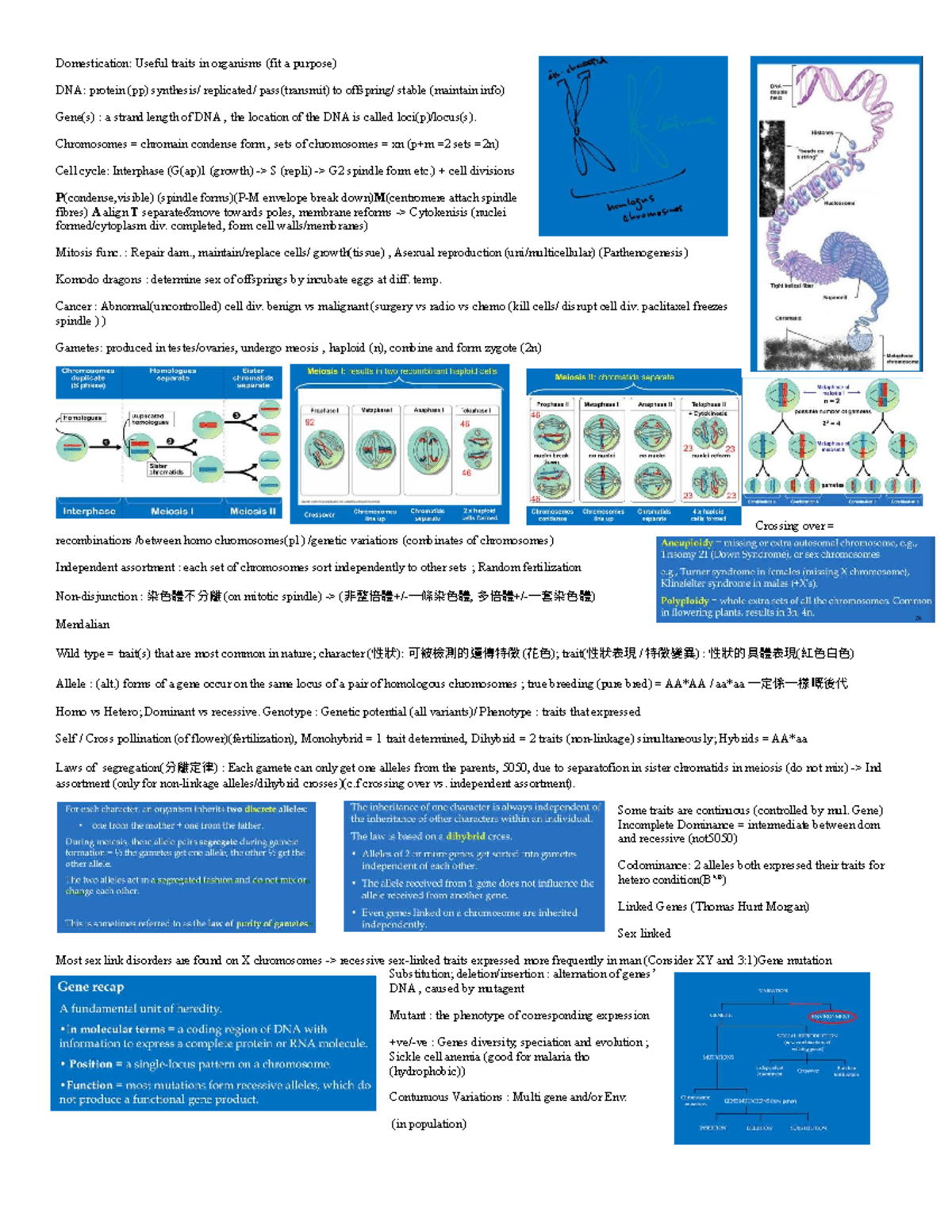 Genetics Cheatsheet for Bio Test: Key Concepts & Terms - Studocu