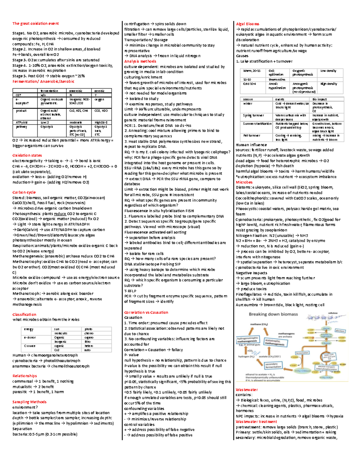 Biol447 Final Exam Study Notes: Microbial Processes and Ecosystems ...