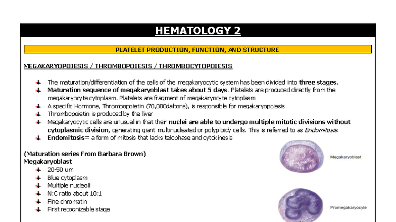 HEMA 2 - Platelet Production, Function, and Hemostasis Overview - Studocu