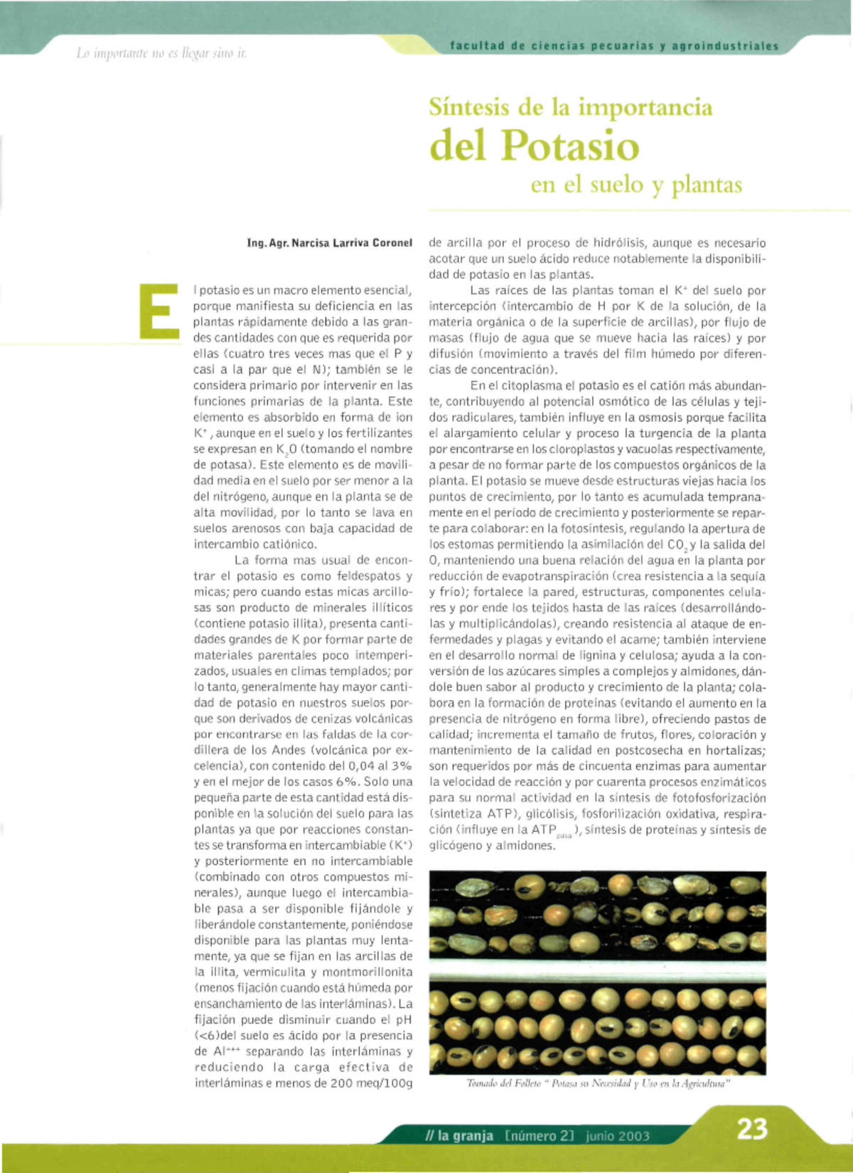 Título: Importancia del Potasio en Suelos y Plantas - Artículo 9 - Studocu