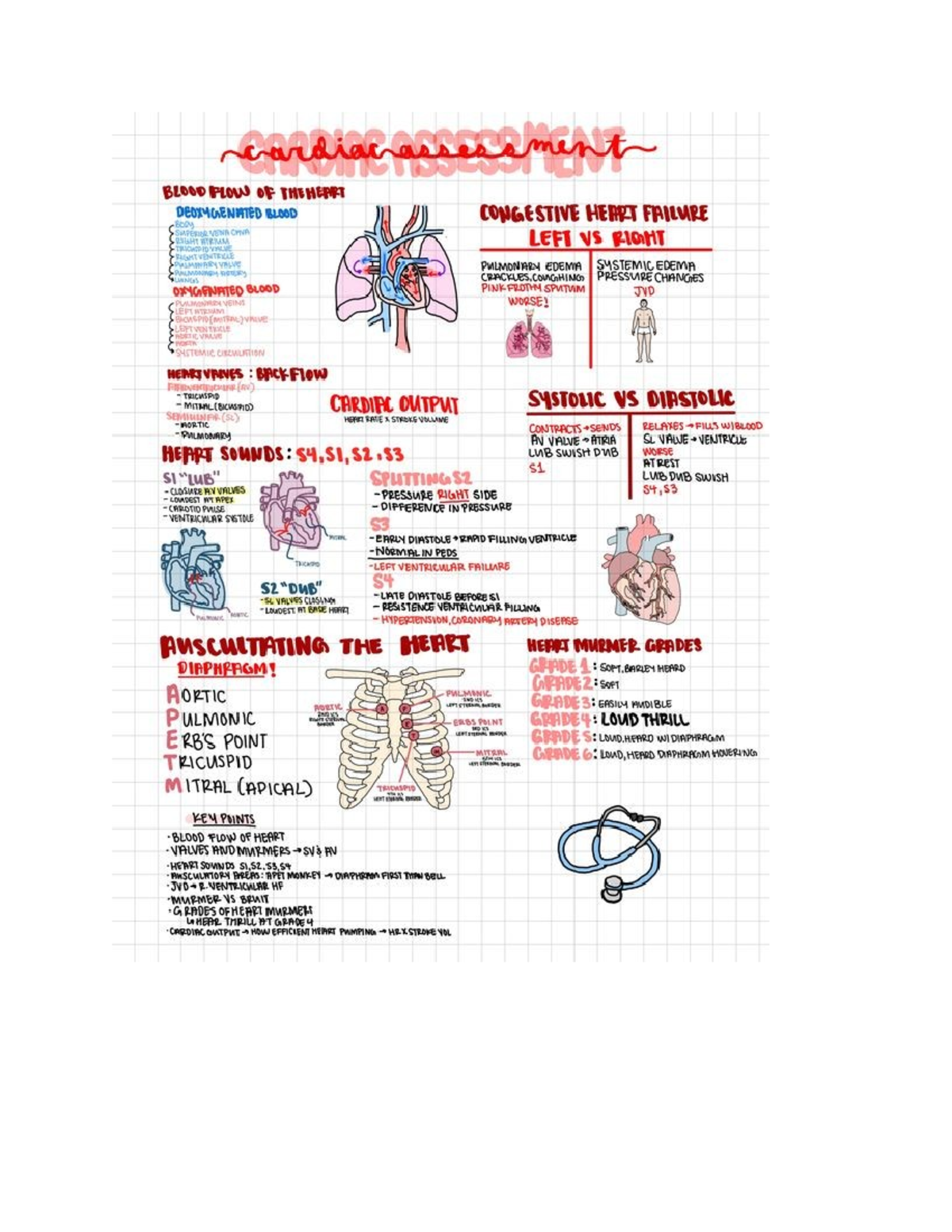 Cardiovascular Unit 1 - Study guide - ADN 221 - Coronary Artery Disease ...