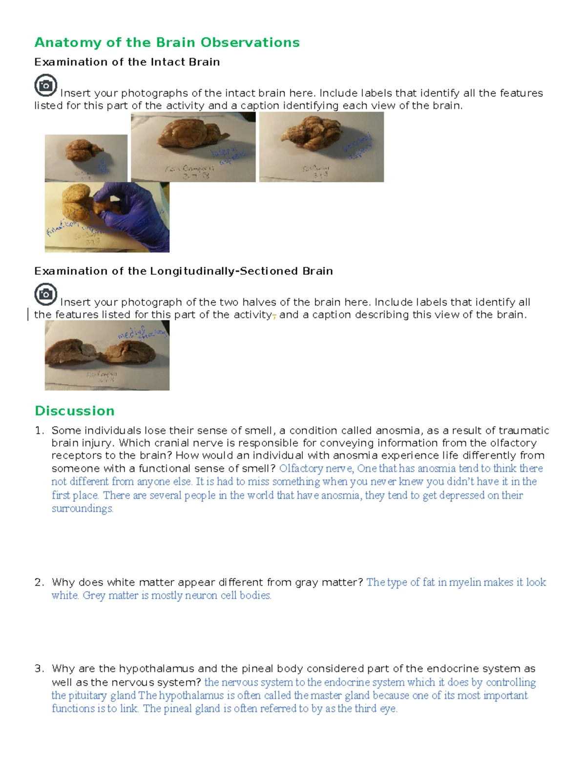 Clinical Daily Worksheet - Nursing 101 (Day 1 & Day 2) - Studocu
