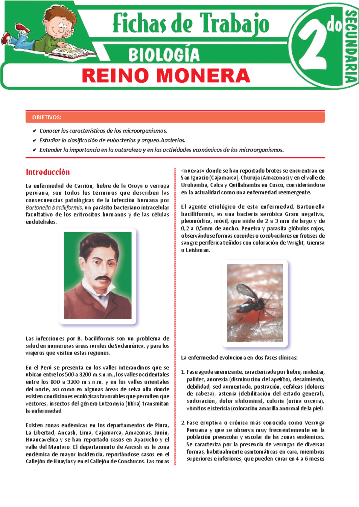 Reino Monera para Segundo Grado: Características y Clasificación - Studocu