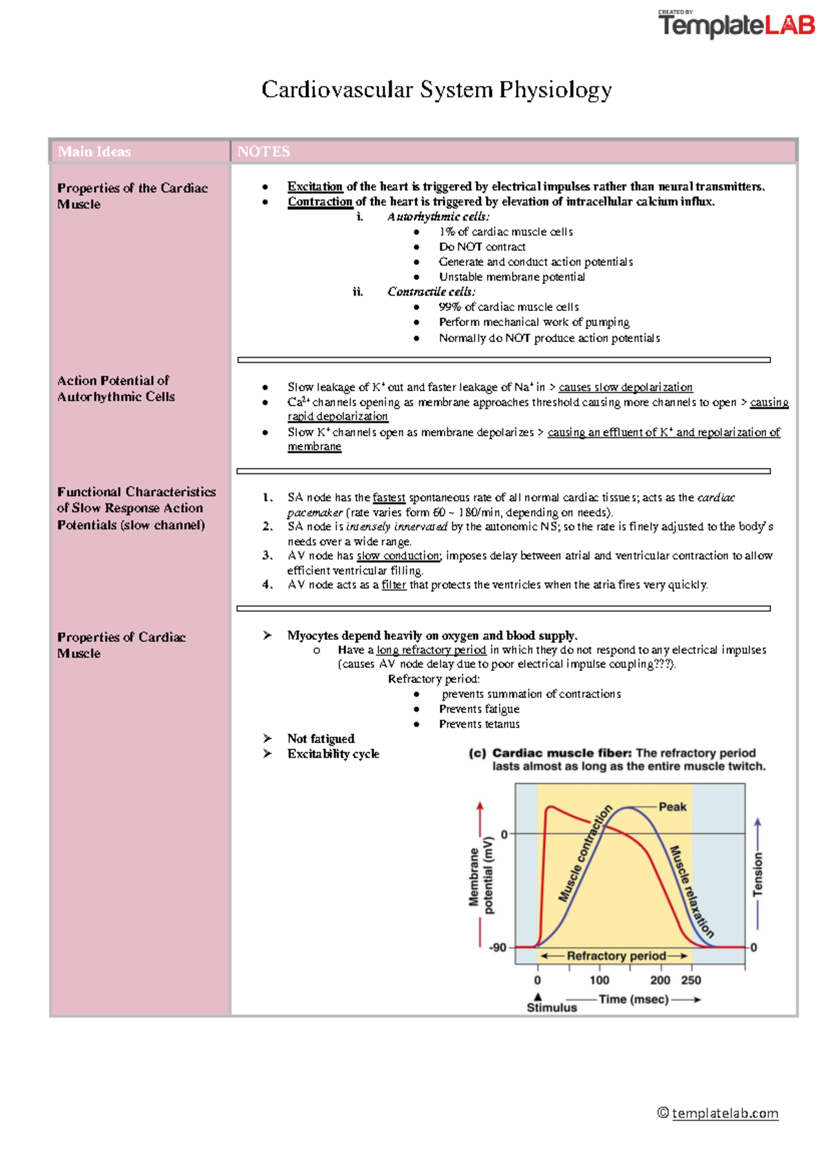 CVS 6 - Lecture notes 1-5 - © templatelab Cardiovascular System ...
