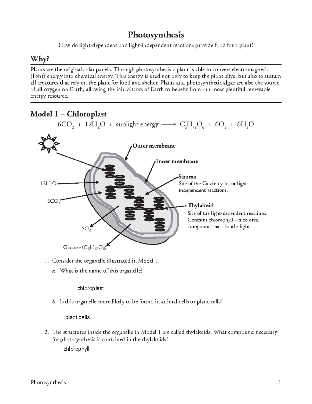 Pogil - Photosynthesis - Photosynthesis 1 Photosynthesis How do light ...