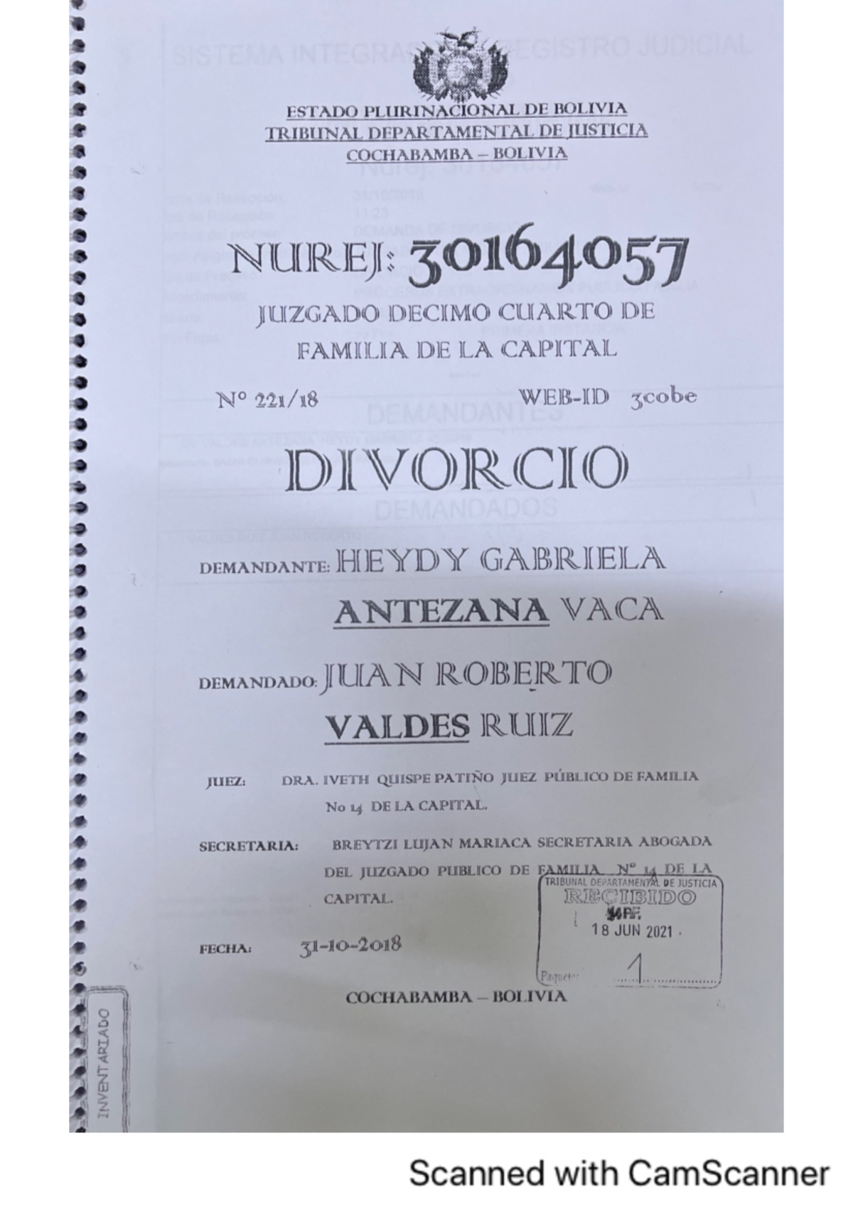 Demanda de Divorcio: Heydy Gabriela Antezana vs. Juan Roberto Valdes - Document Preview
