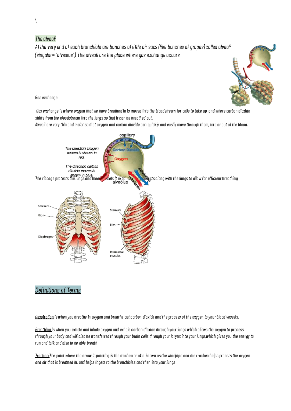 Year 8 Yearly Exam Notes - Biology & Chemistry Overview - Studocu