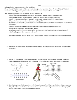 Week 7b Eukaryotic Gene Expression Reading Guide - Name - Studocu