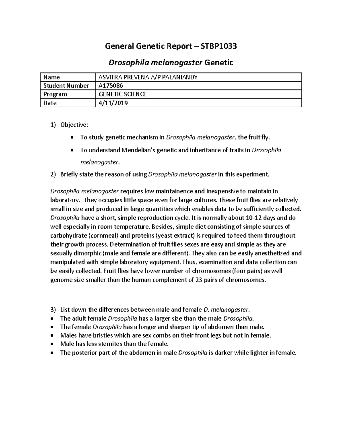 Genetic Lab Report on Drosophila melanogaster (STBP1033) - Studocu