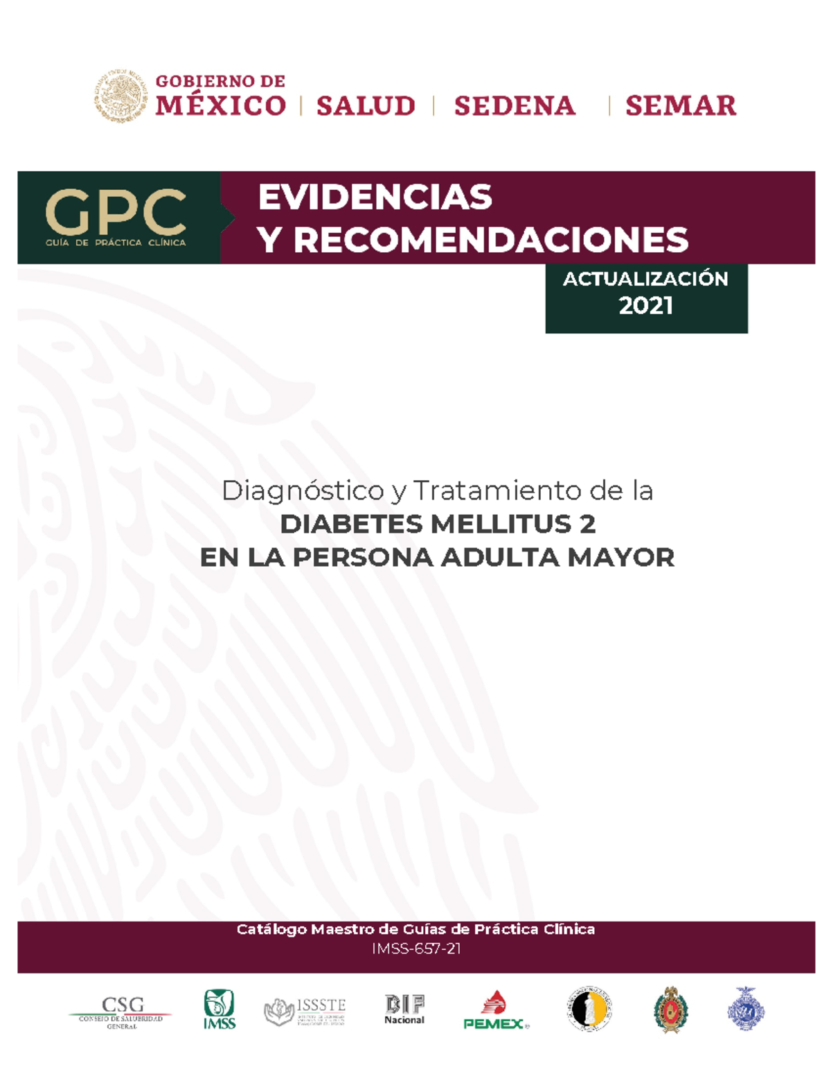 GPC-657-21: Actualización sobre Diabetes Mellitus 2 en Adultos Mayores - Document Preview
