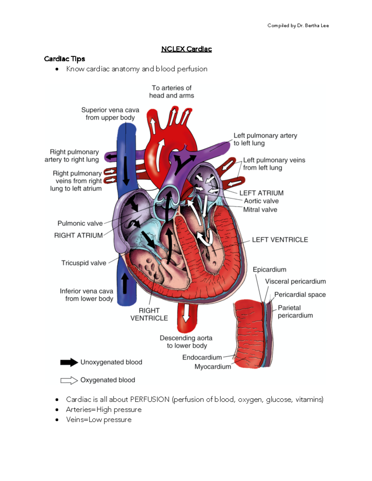 NCLEX Cardiac Study Sheet: Key Tips & Essential Concepts - Studocu