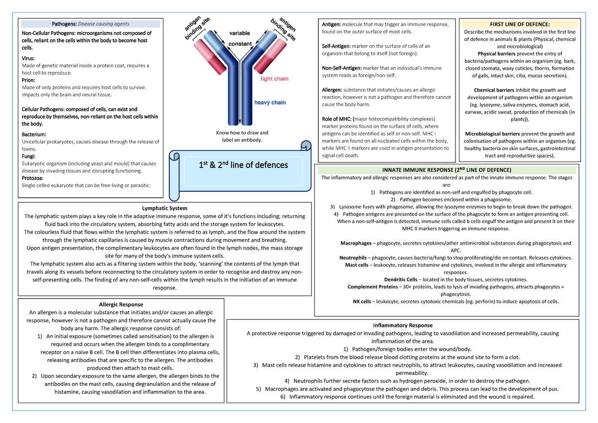 Revision - 1st 2nd line of defence - 1 st & 2 nd line of defences ...