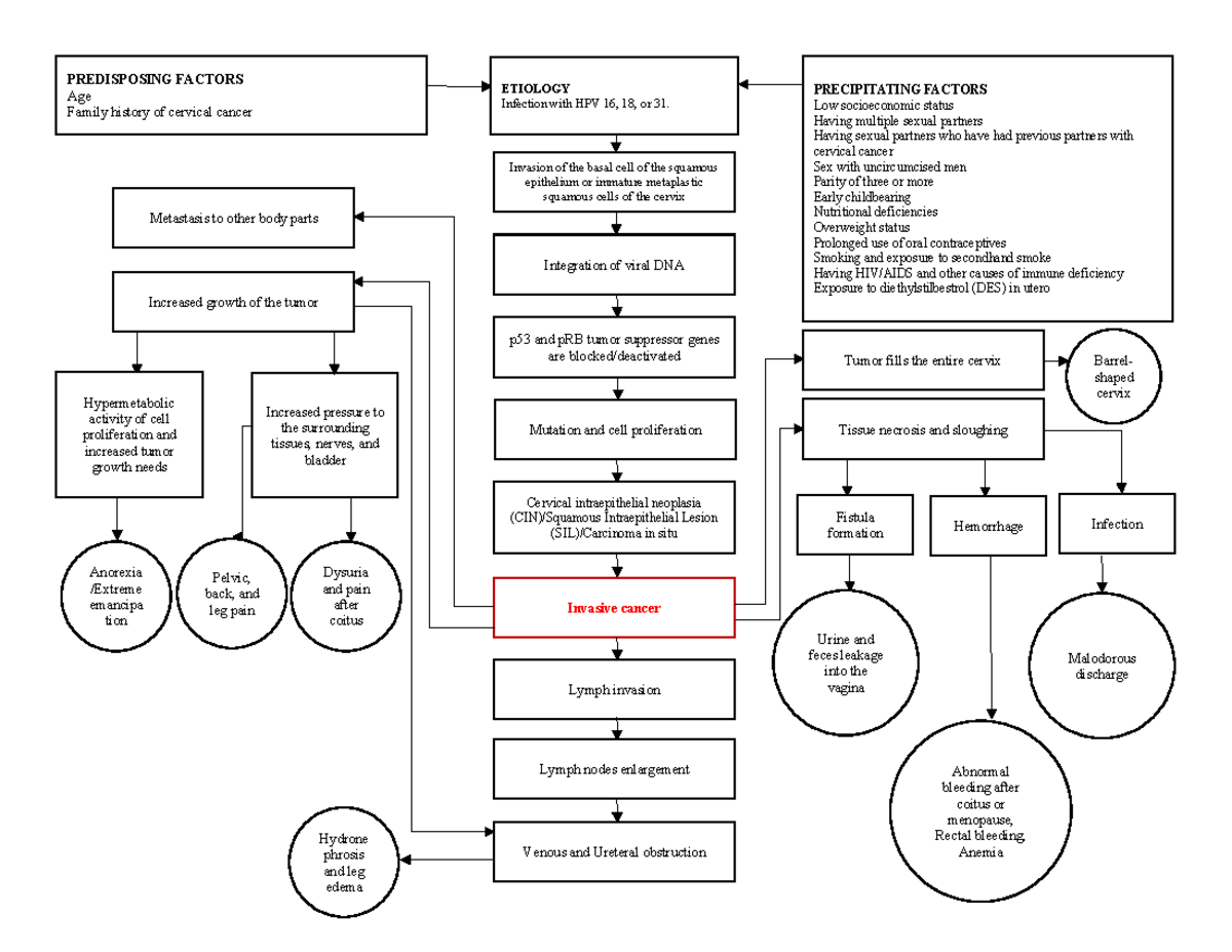 501466157 Cervical Cancer Pathophysiology: Factors & Etiology Analysis ...