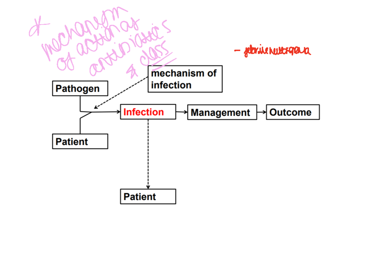 Infection Models: Overview of Common Pathogens & Treatments (MED 101 ...