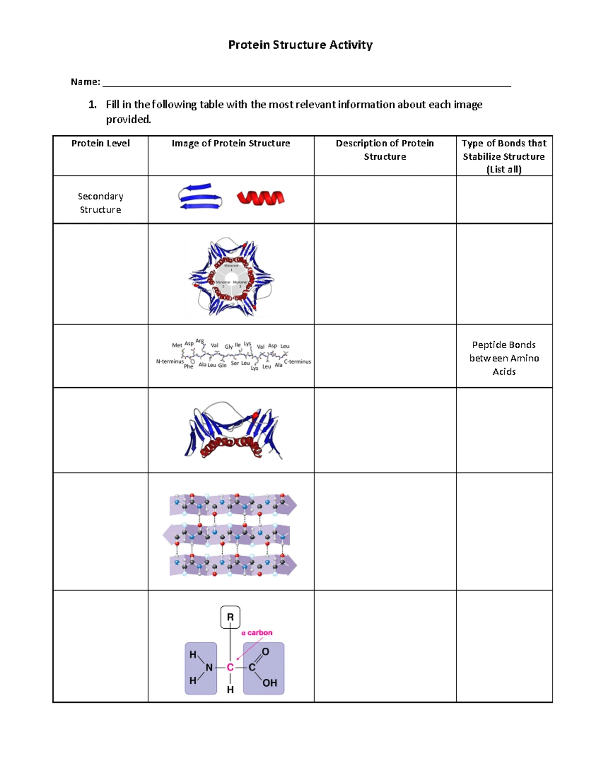 BIOLOGY２Quick Study ACADEMIC 生物学２ QuickStudy | Biology 2 Laminated Study Guide (9781572228269)