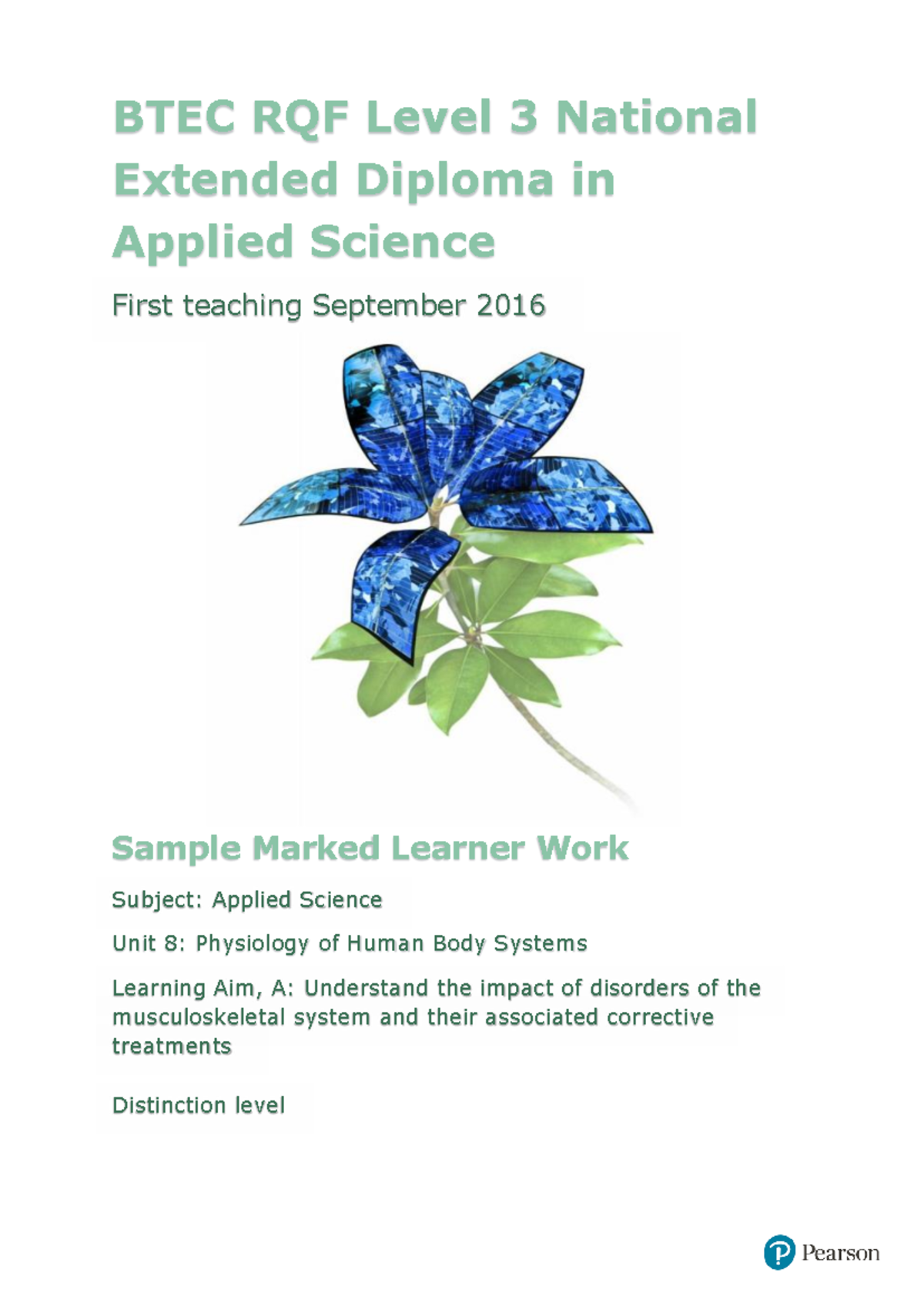 BTEC Level 3 Applied Science Unit 8: Musculoskeletal Disorders Report ...