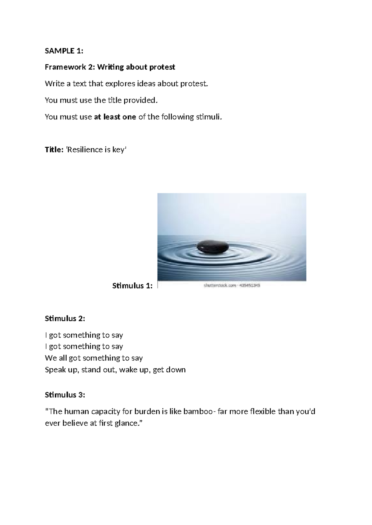 Protest practice stimuli - Framework 2: Writing about protest Write a ...