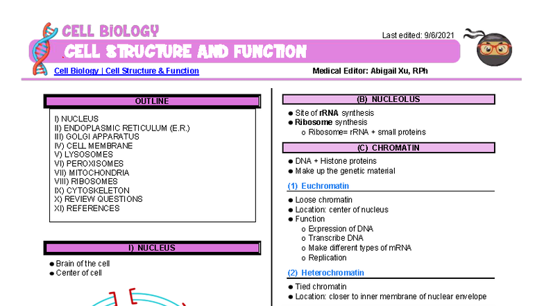 CELL BIOLOGY: 3. Cell Structure & Function Notes - Studocu