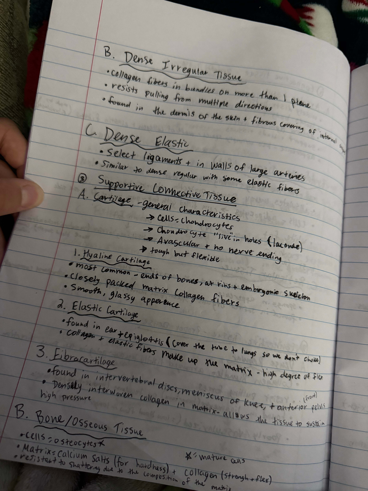 Final Exam Study Guide: Connective Tissue Types in Course CODE 101 ...