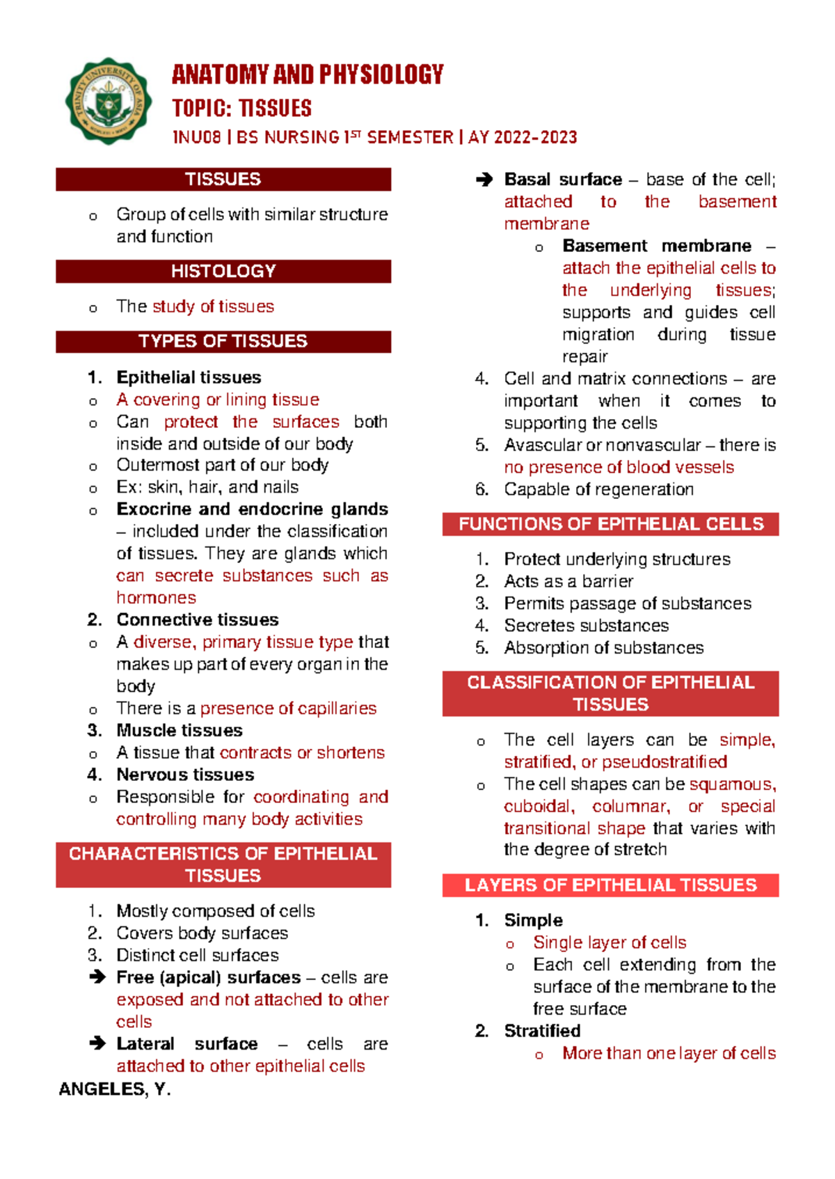 Chapter 4 - Tissues: Comprehensive Lecture Notes (1NU08) - Studocu