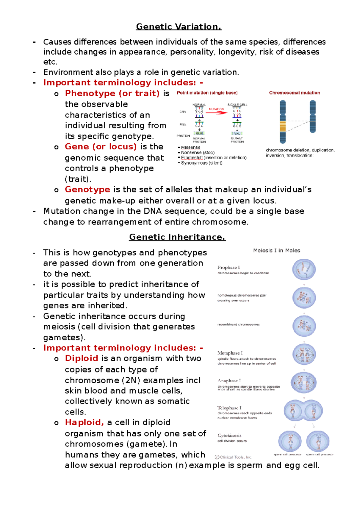 Genetic Variation revision guide - Genetic Variation. Causes ...