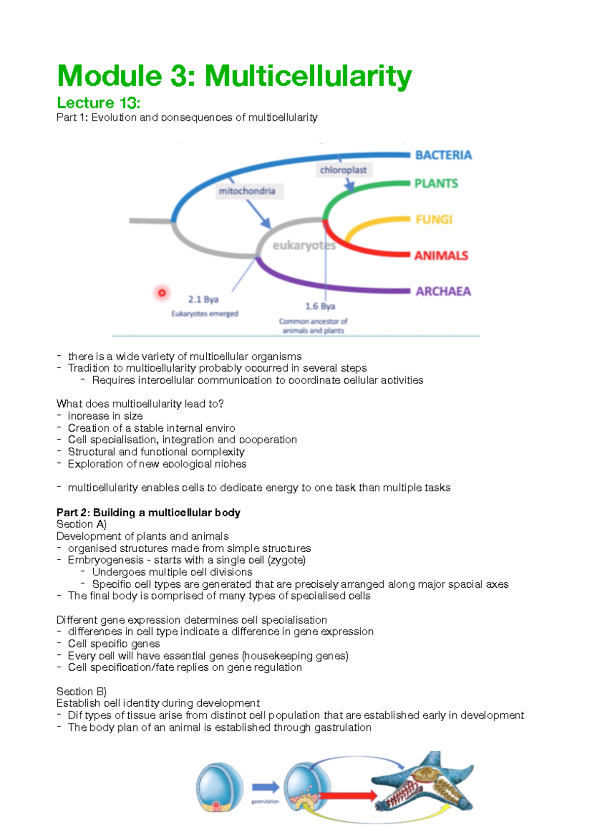 BIOL10008 Module 3: Evolution and Mechanisms of Multicellularity - Studocu