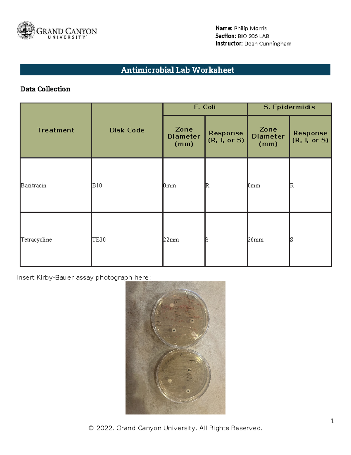 BIO 205L RS Lab11Antimicrobial Lab Worksheet Online Tradonline