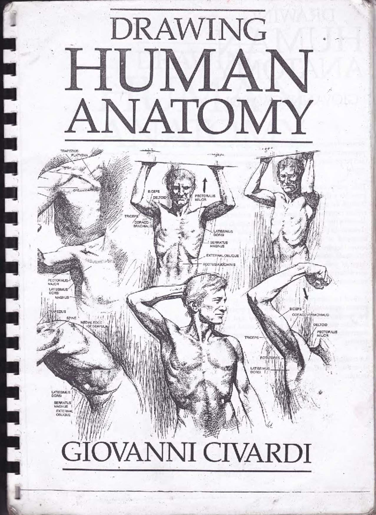 Drawing Human Anatomy: A Comprehensive Guide by Giovanni Civardi - Studocu