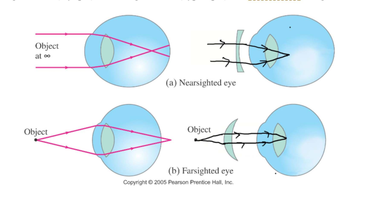 Diagram 12 - Lecture notes that will help u - PSY1011 - Object at 8 (a ...