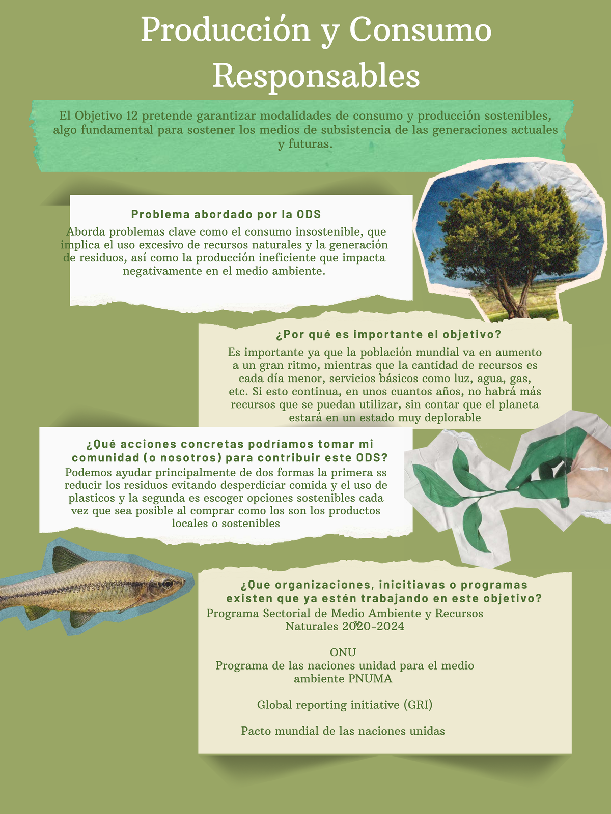 Producción y Consumo Responsables: ODS 12 y su Importancia - Studocu