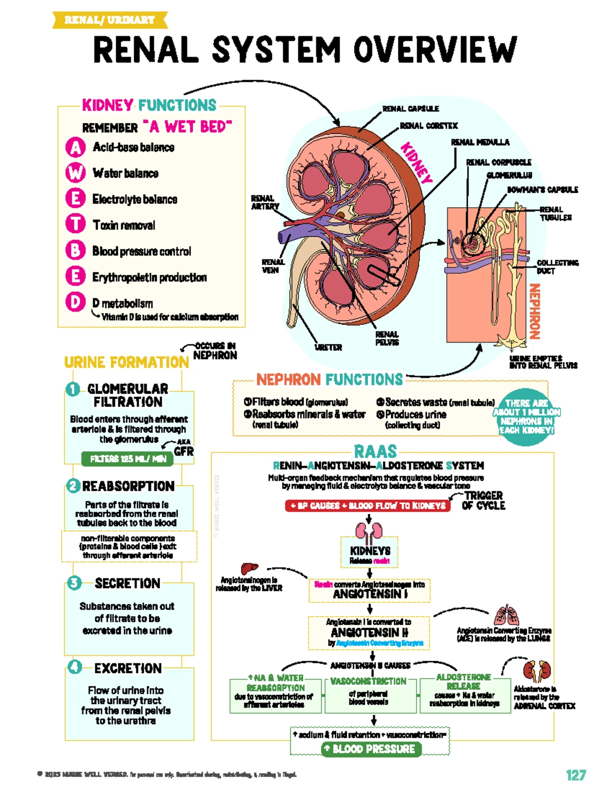 PEDS 101: Gastrointestinal Practice Questions for Review - Studocu