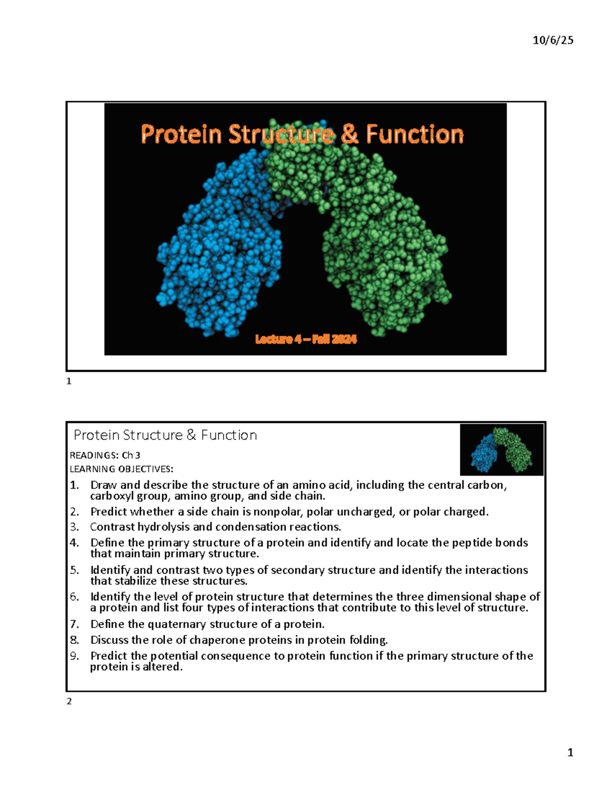 BIO1330 Protein Structure & Function Lecture Notes - Fall 2025 - Studocu