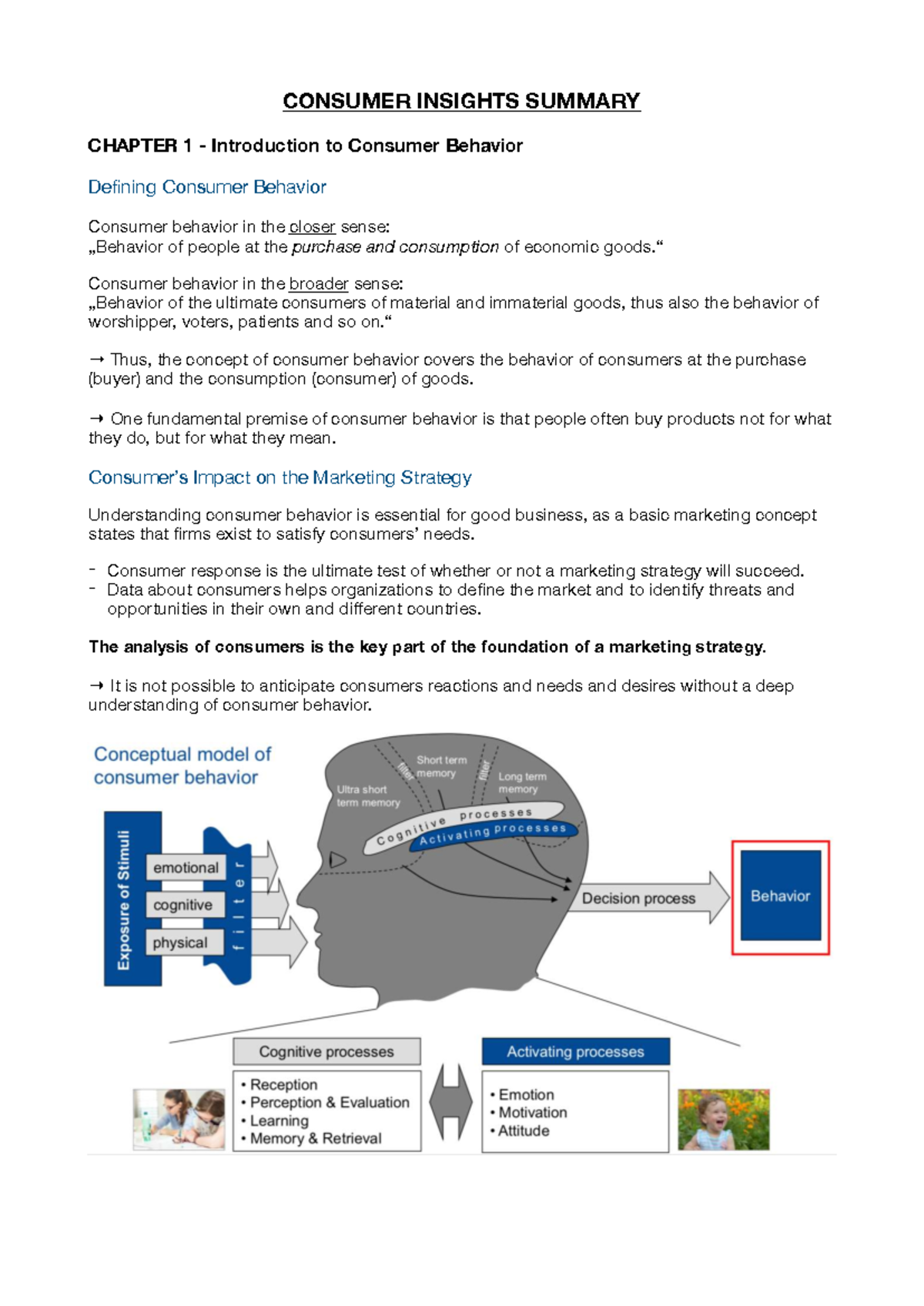 Consumer Insights Summary: Understanding Consumer Behavior and Decision ...