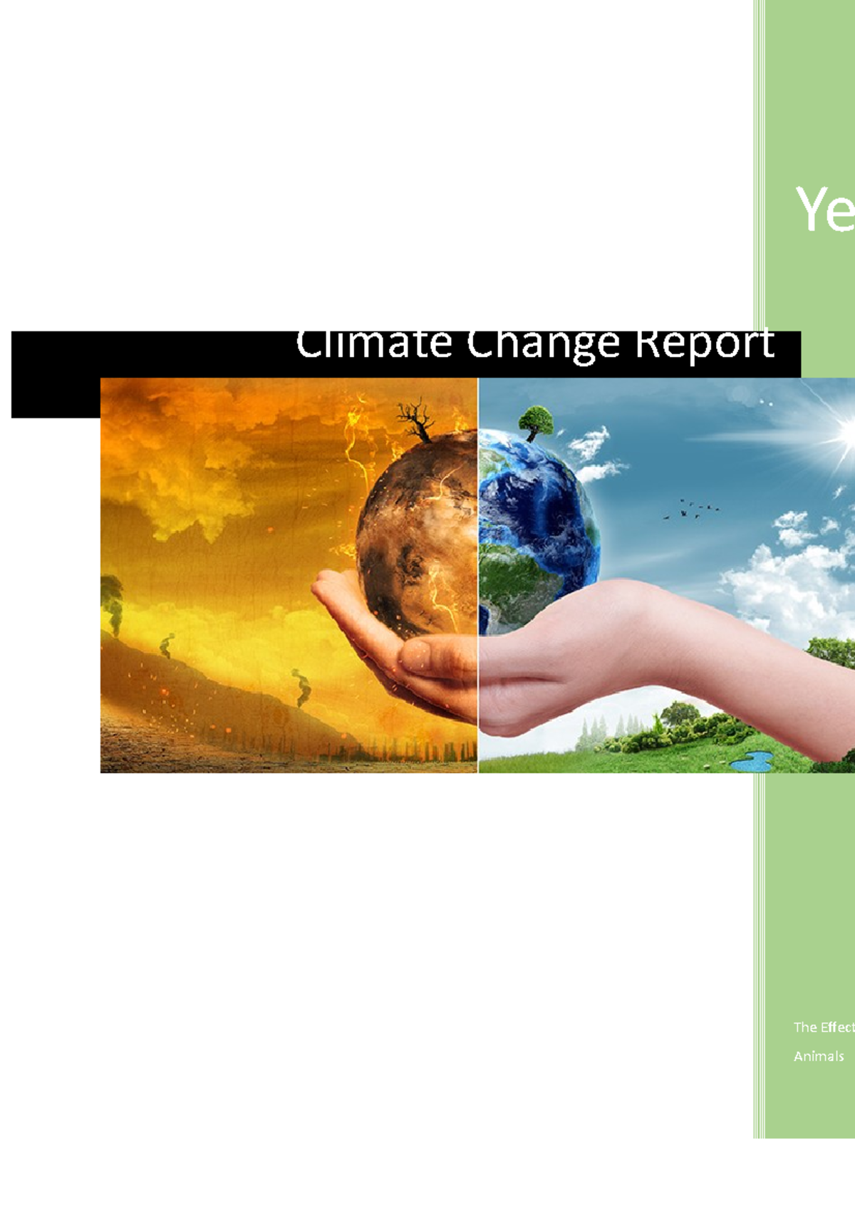 Climate Change Report Example: The Impact on Polar Bears (Science Final ...