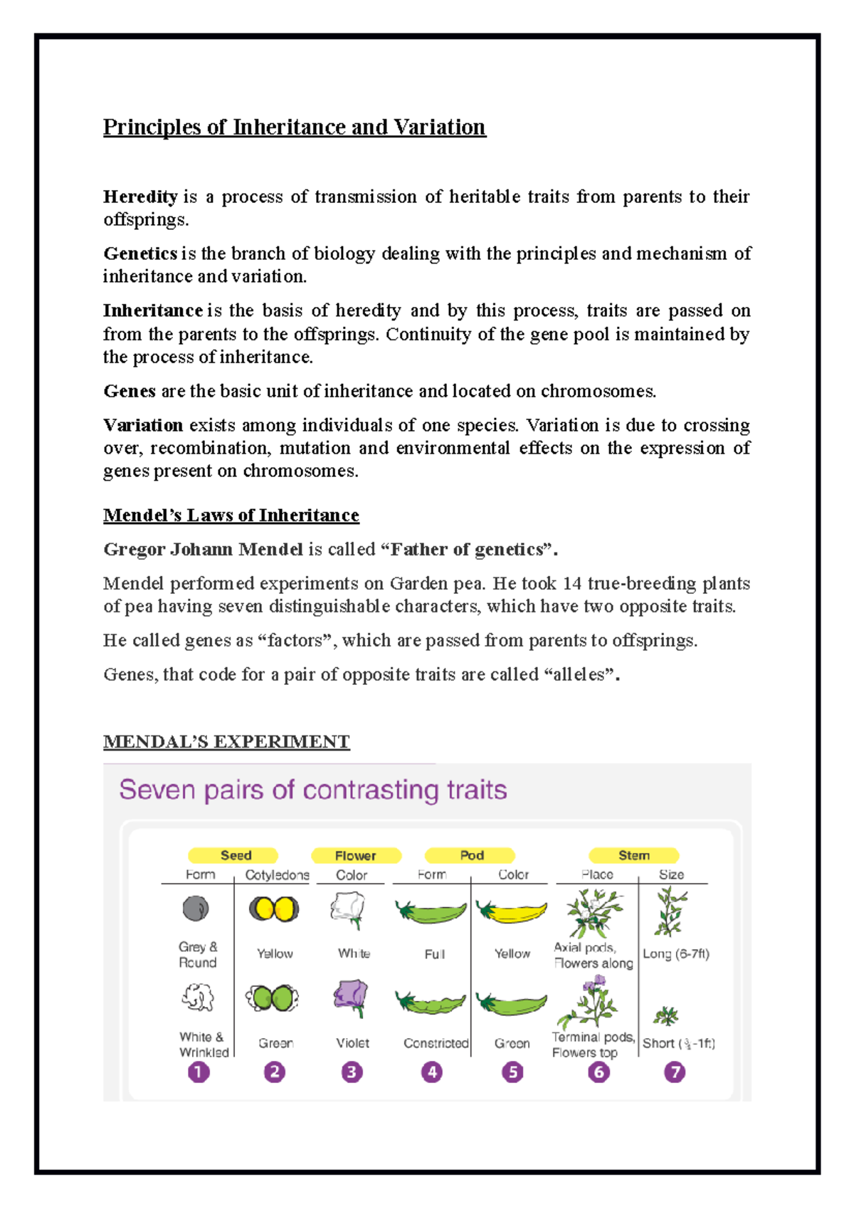 Polygenic Inheritance Example Ncert
