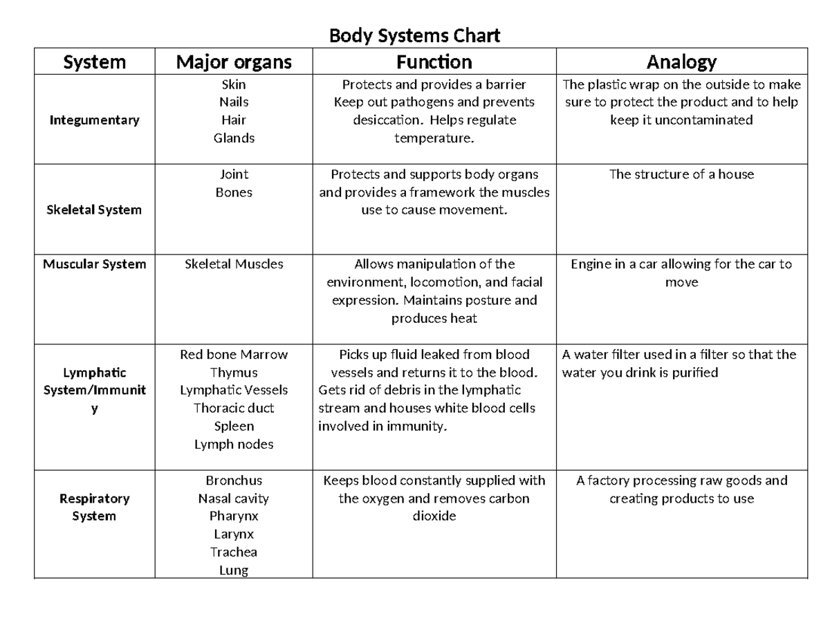 Organ Systems Chart: Functions & Analogies for Major Organs - Studocu