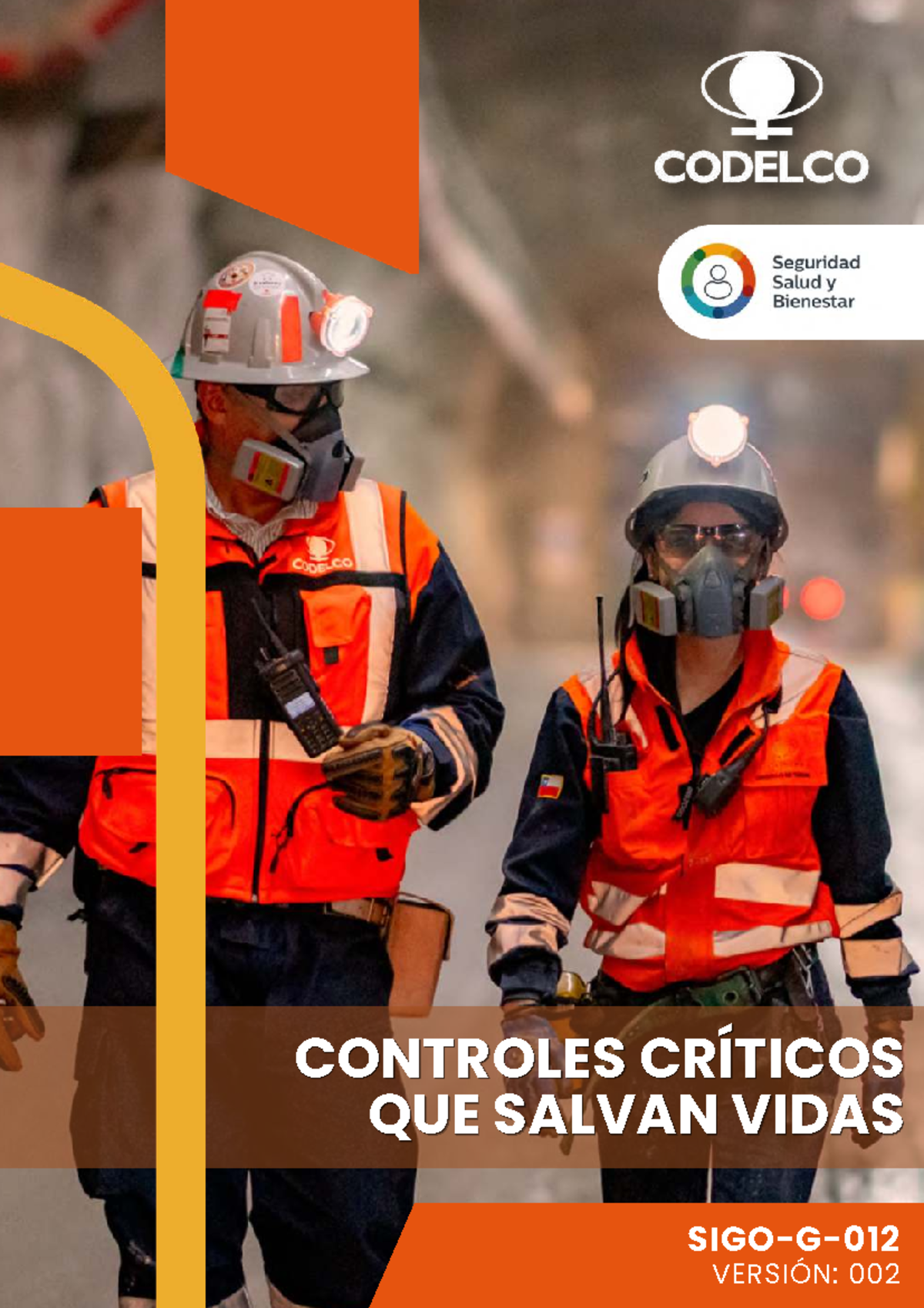 Guía de Controles Críticos que Salvan Vidas - SIGO-G-012 Rev 002 - Document Preview
