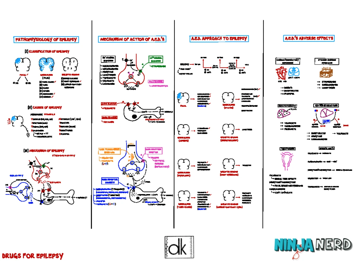 Abdominal Examination Reformatted - Abdominal Examination General ...