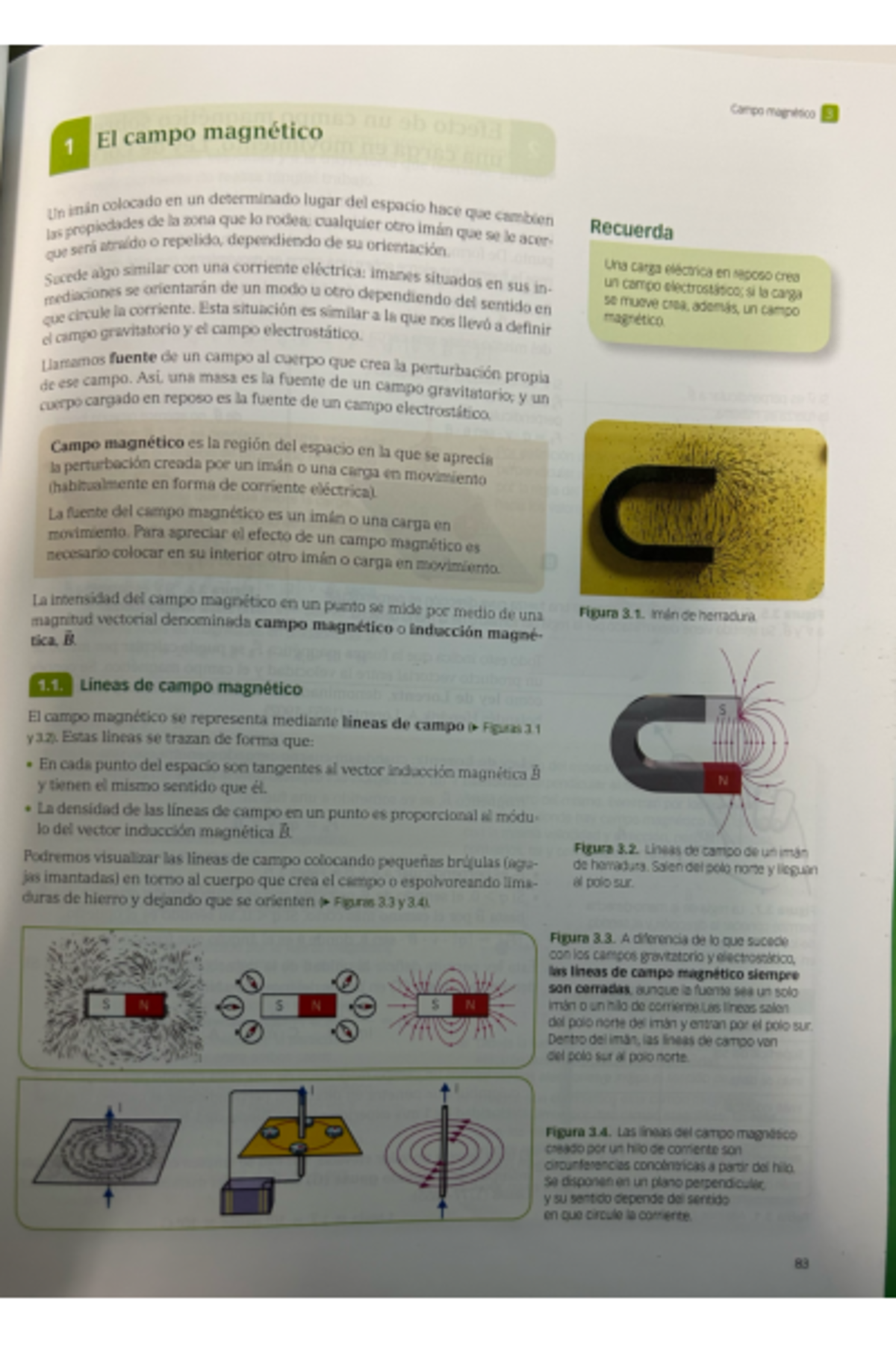 Campo Magnético - Apuntes de Ondas Santillana - Document Preview
