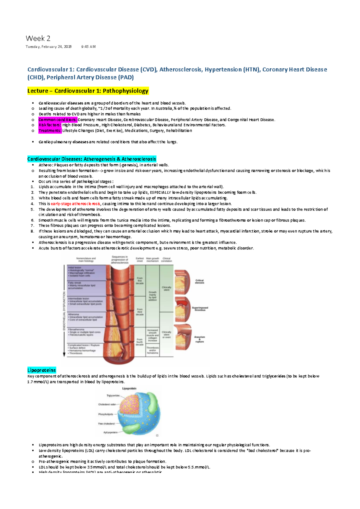 Cardiovascular 1: Lecture Notes on CVD, Atherosclerosis, and ...