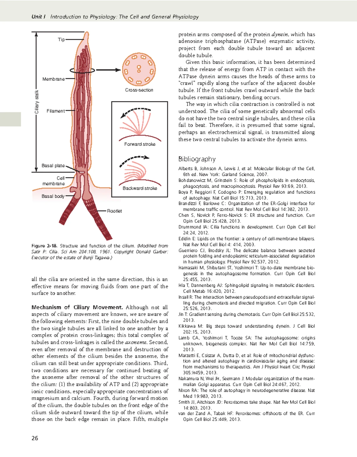 Guyton and Hall Textbook of Medical Physiology ( PDFDrive )-62 - Unit ...