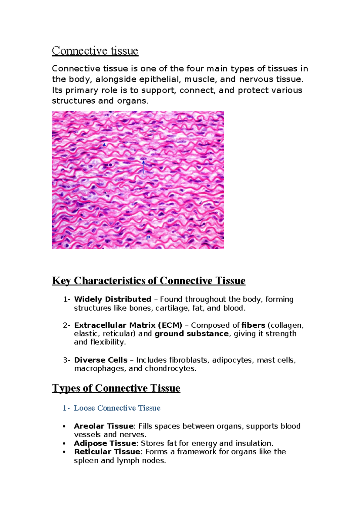 Connective Tissue Overview - Tarea - Studocu