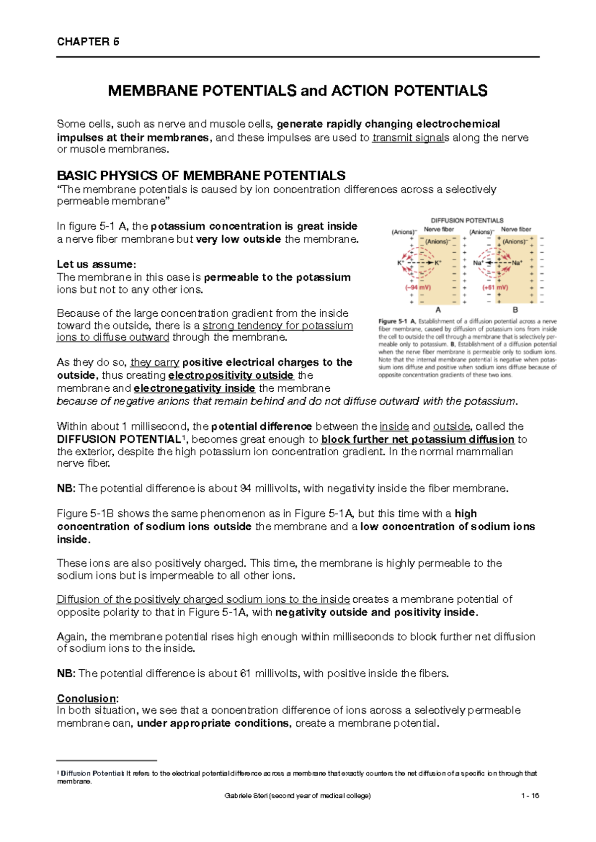 Chapter 5: Membrane and Action Potentials in Physiology - Studocu