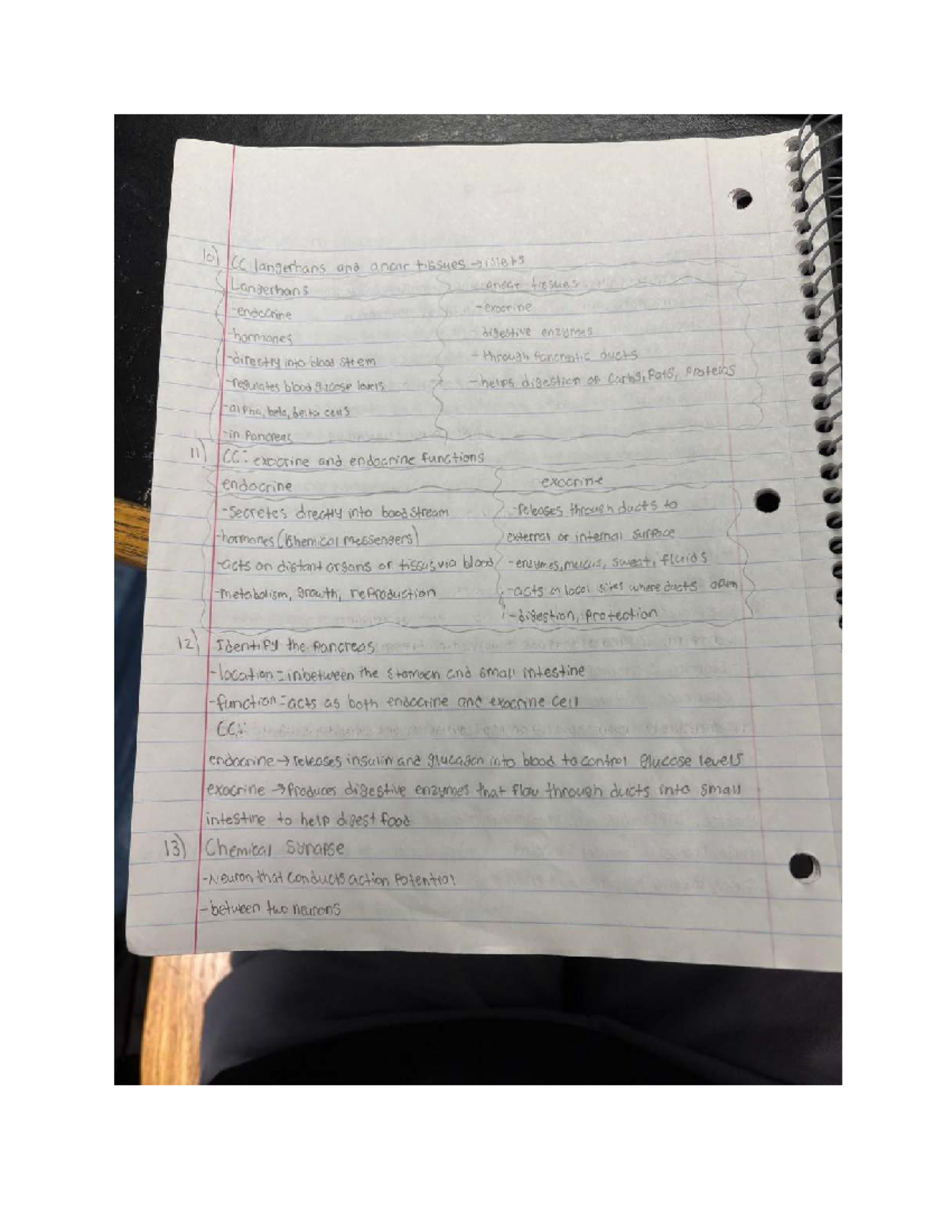 Biology 4: Comprehensive Study Guide on Pancreas Functions and Neuron ...