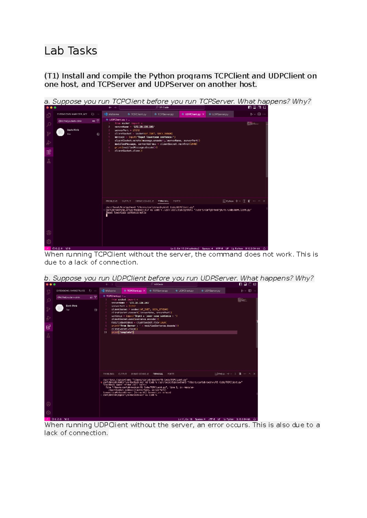 Netfun Lab Week 4: TCP/UDP Client-Server Interactions Analysis - Studocu