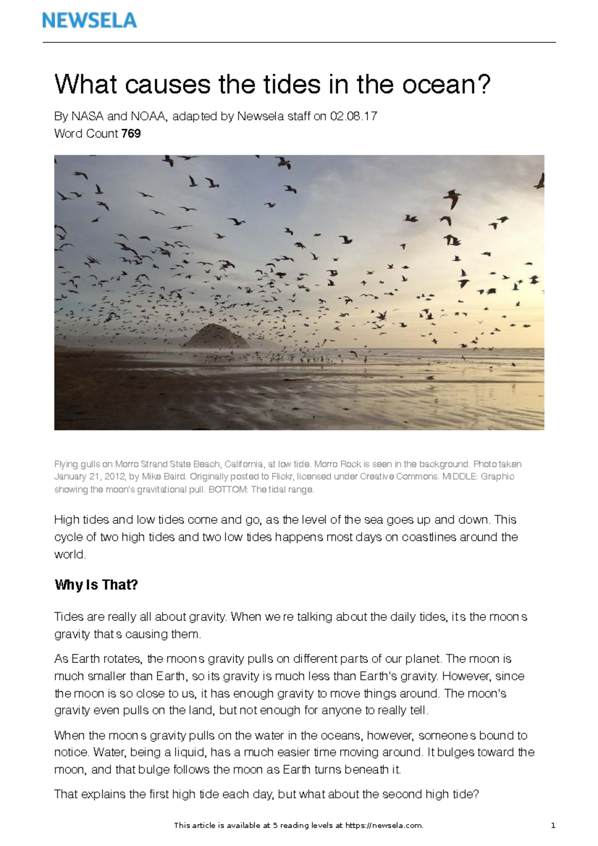 Understanding tides: The role of gravity and inertia in ocean levels ...