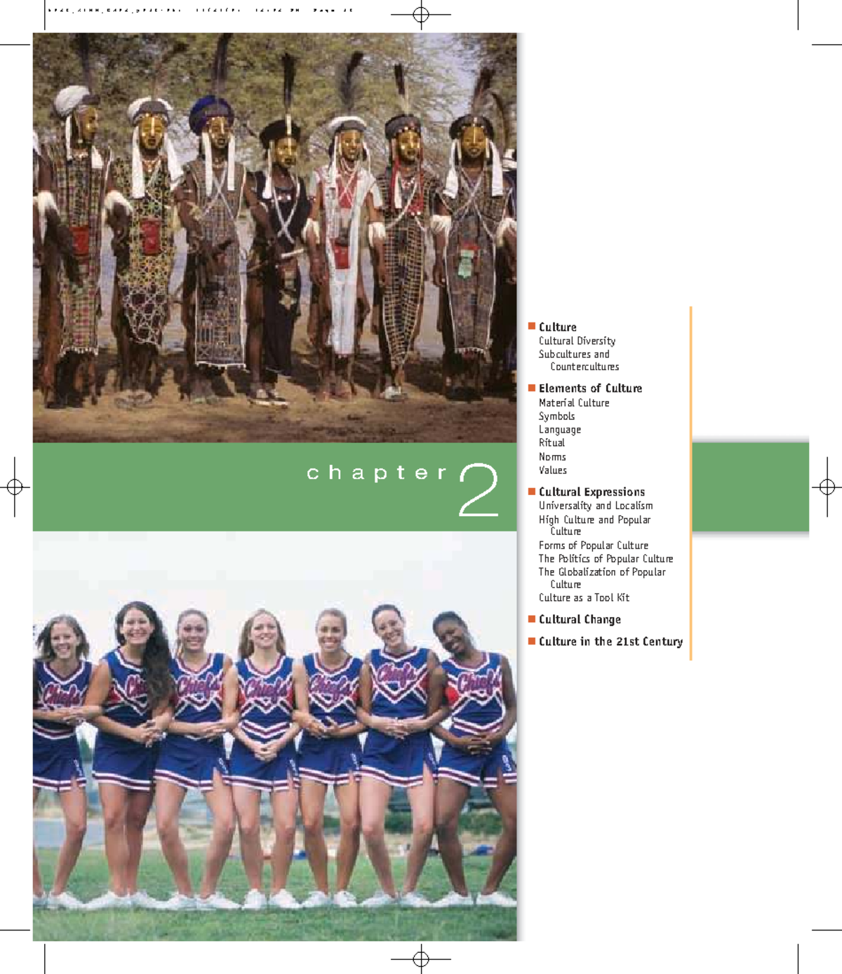 Cultural Diversity and Its Elements: A Study of Chapter 2 (SOC 101 ...